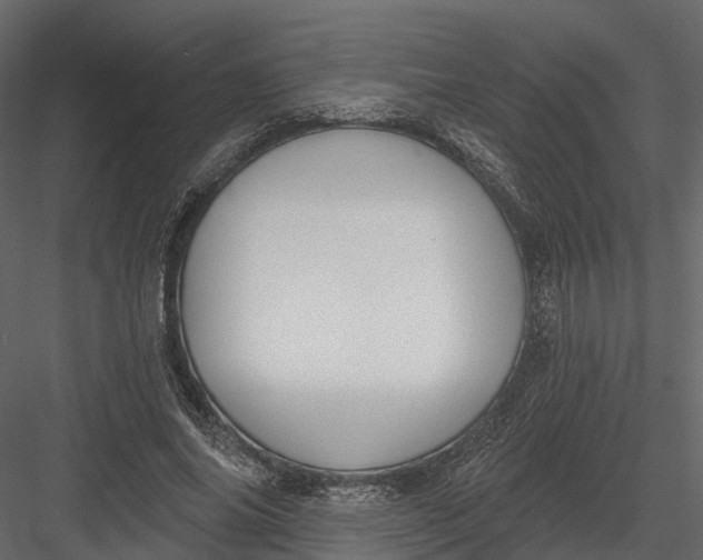 X0000083530686200702240019