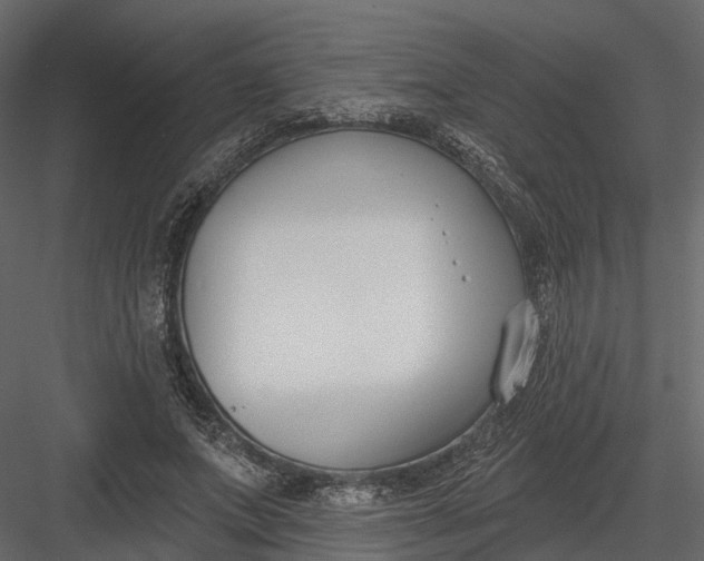 X0000083530687200702240018