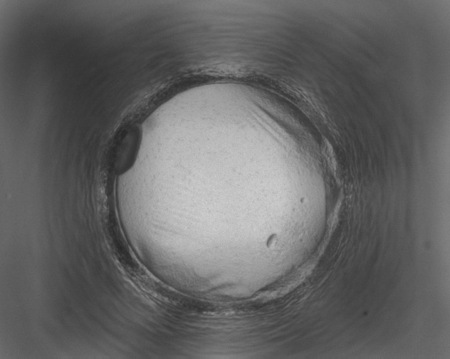 X0000083530688200702240018