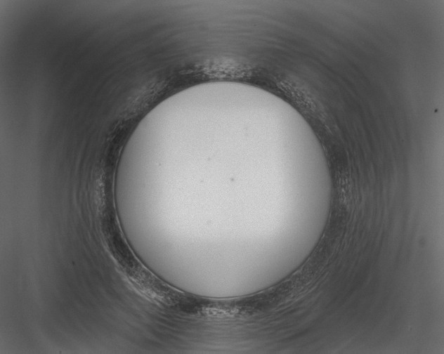 X0000083530690200702240018