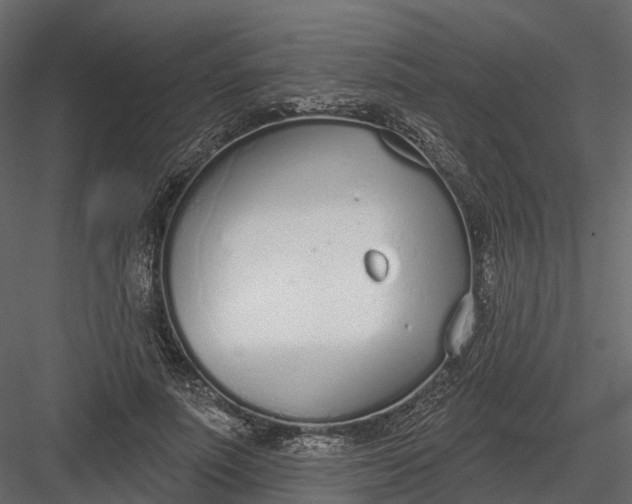 X0000083530691200702240018