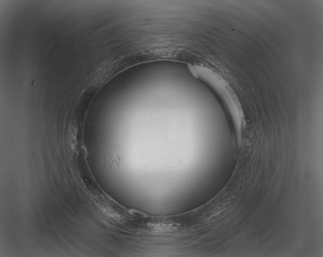 X0000083530693200702240018