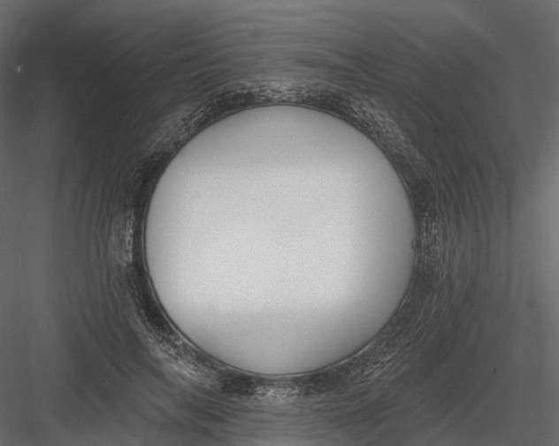 X0000083530694200702240018