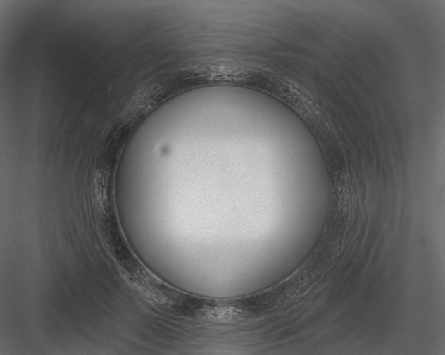 X0000083530695200702240018