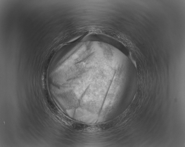X0000083530696200702240018