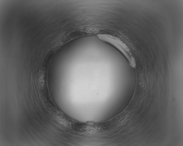 X0000083530697200702240018