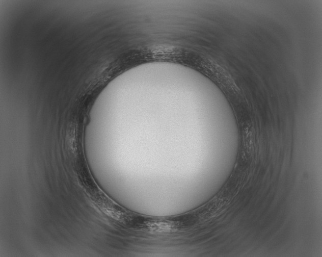 X0000083530698200702240018