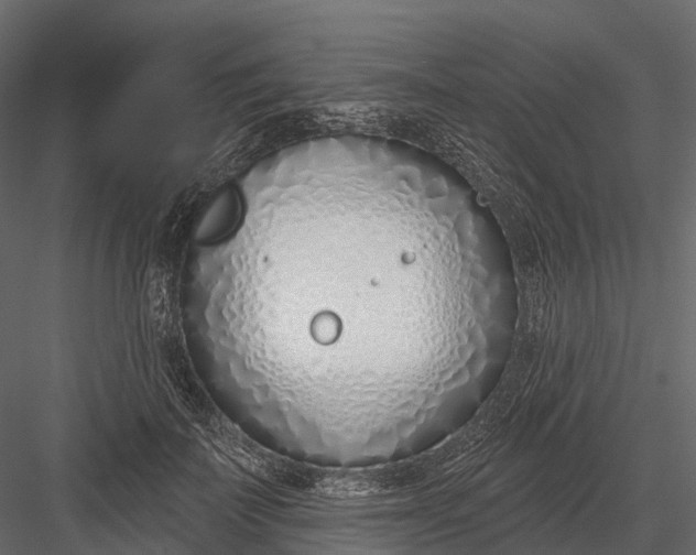 X0000083530699200702240018