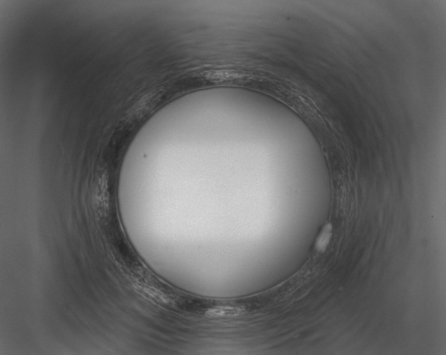 X0000083530700200702240018