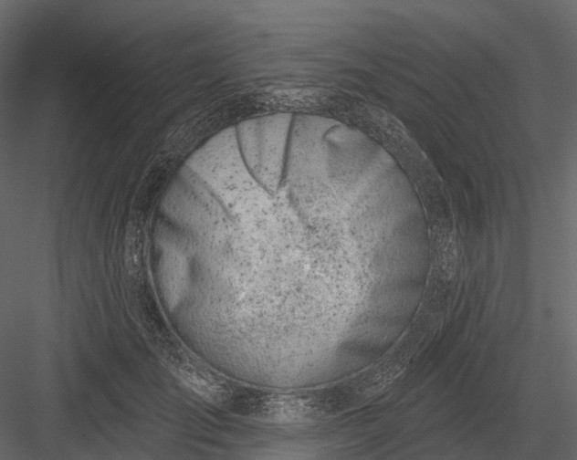 X0000083530701200702240018