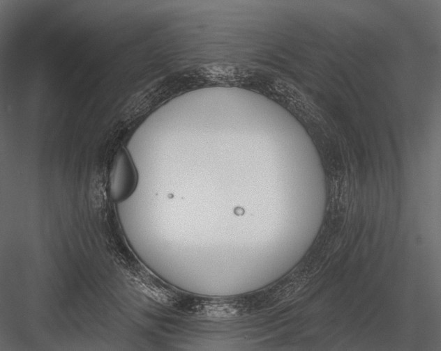 X0000083530702200702240018