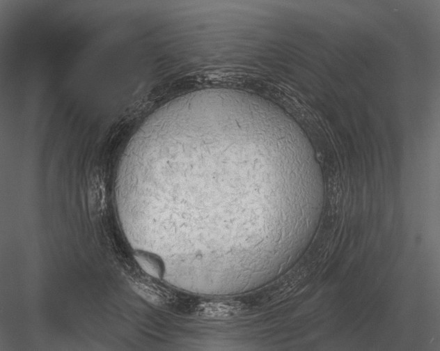 X0000083530703200702240018