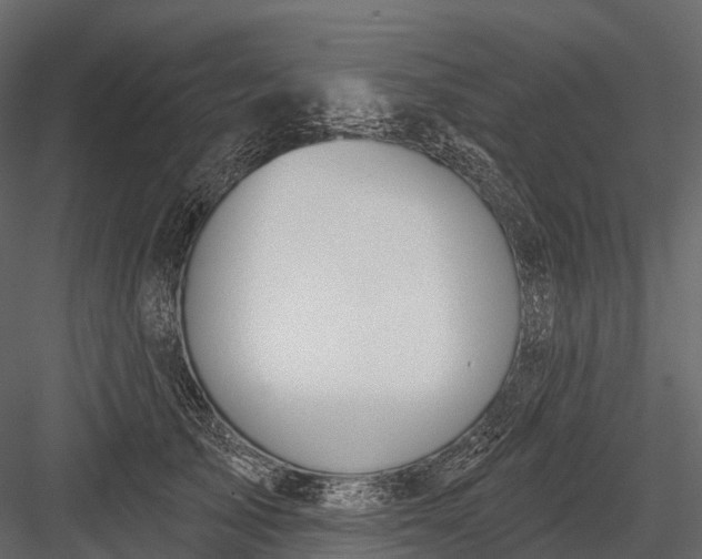 X0000083530705200702240018