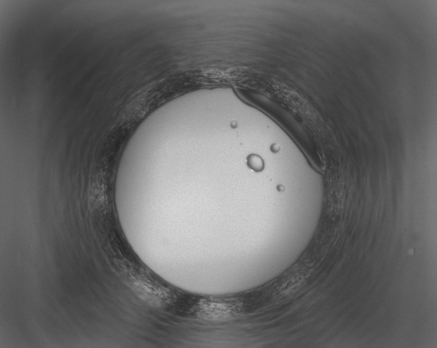 X0000083530706200702240018