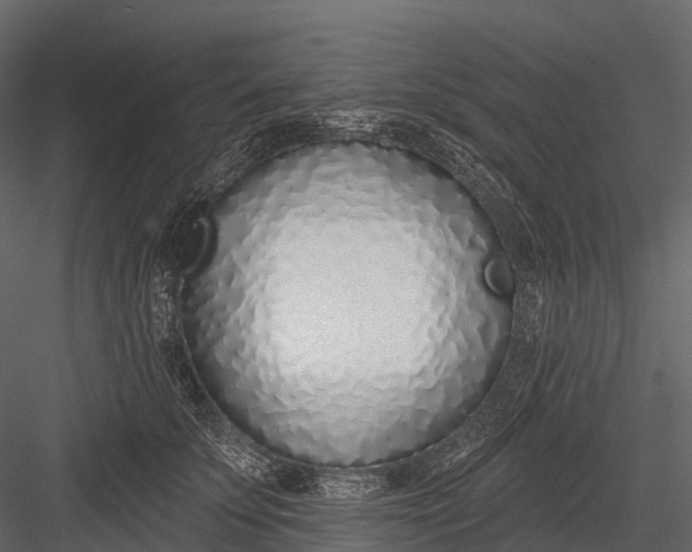 X0000083530707200702240018