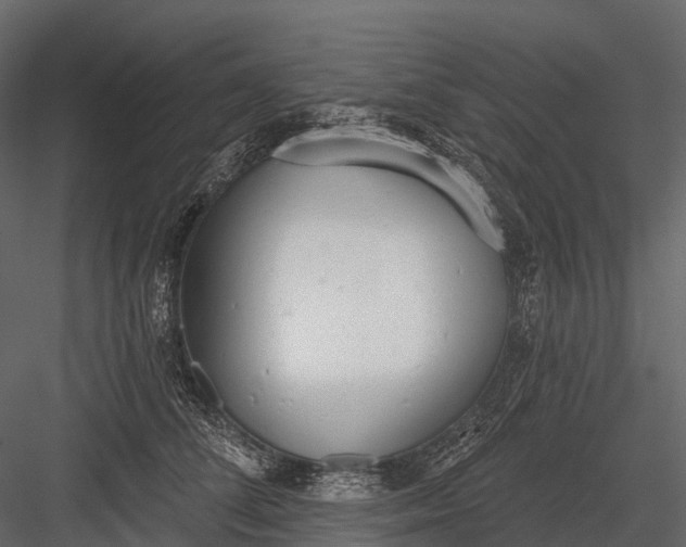 X0000083530708200702240018