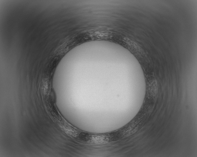 X0000083530709200702240018