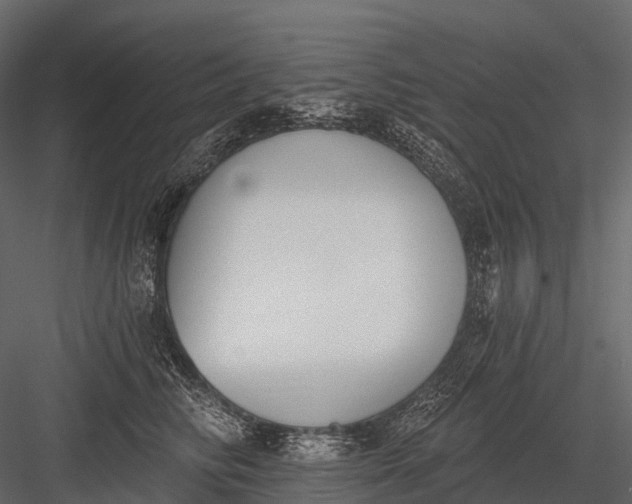 X0000083530710200702240018