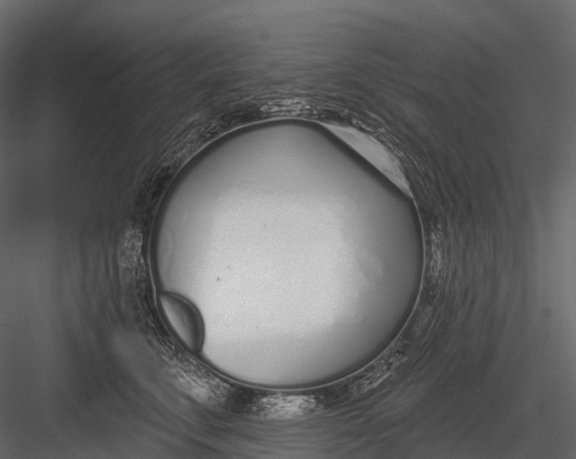 X0000083530711200702240018