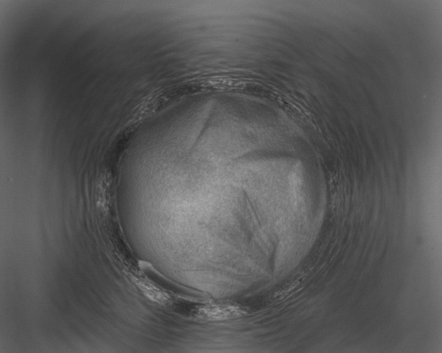 X0000083530712200702240018