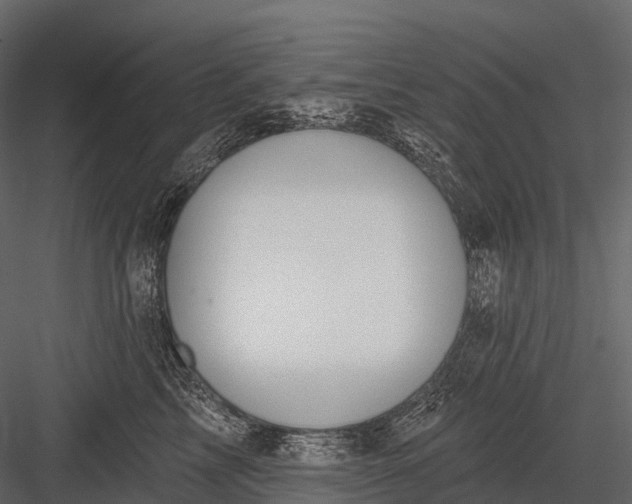 X0000083530713200702240018