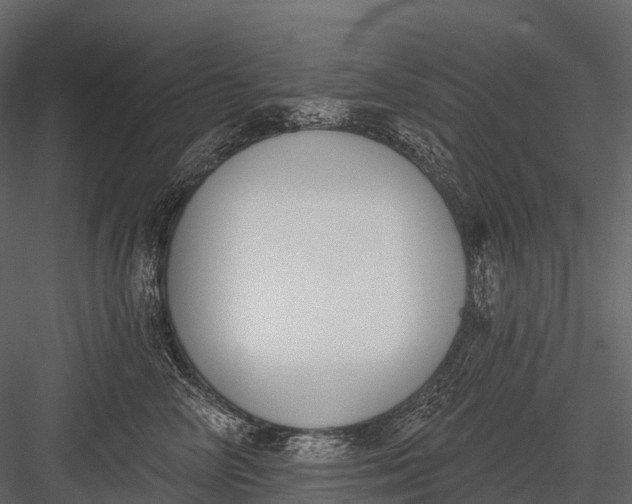 X0000083530714200702240018