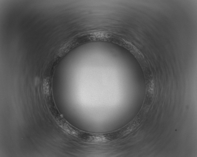 X0000083530715200702240018