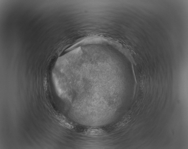 X0000083530716200702240018