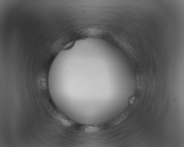 X0000083530718200702240018