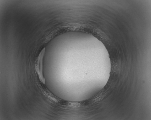 X0000083530719200702240018