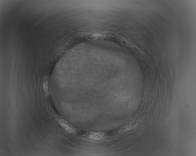 X0000083530720200702240018