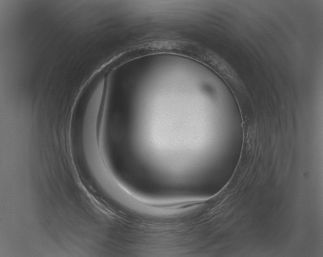 X0000083530722200702240017