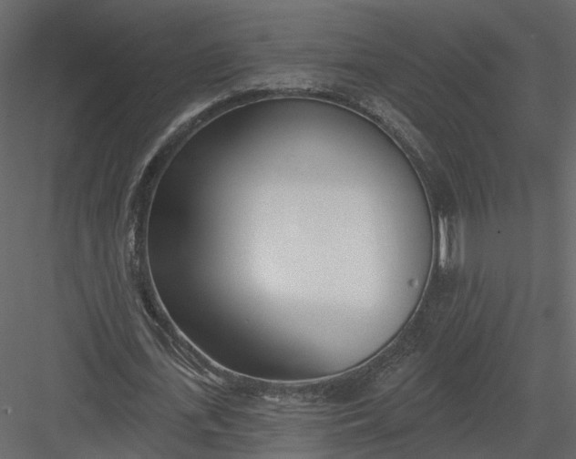 X0000083530723200702240017