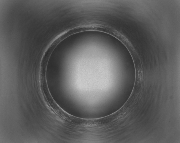 X0000083530724200702240017