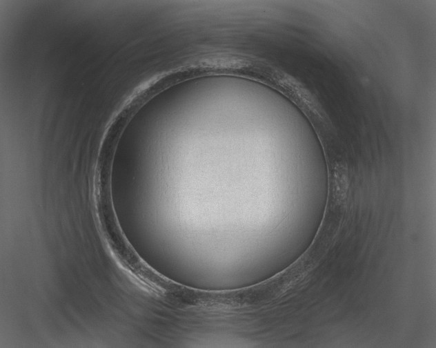 X0000083530726200702240017