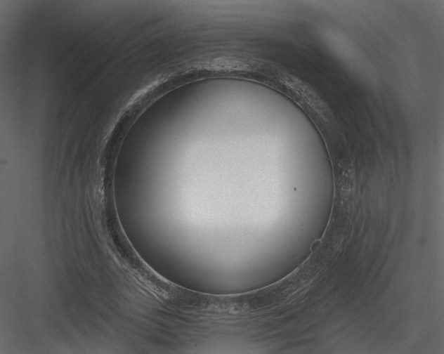 X0000083530727200702240017