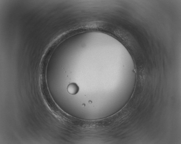 X0000083530728200702240017