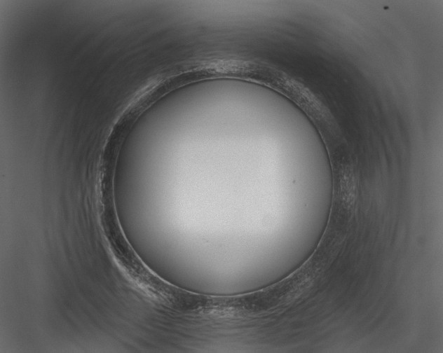 X0000083530730200702240017