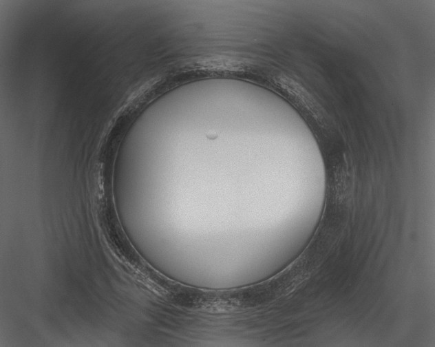 X0000083530731200702240017