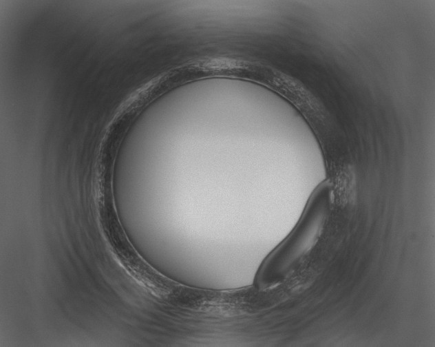 X0000083530732200702240017