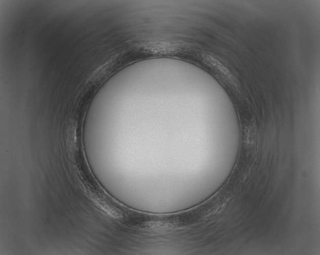 X0000083530733200702240017