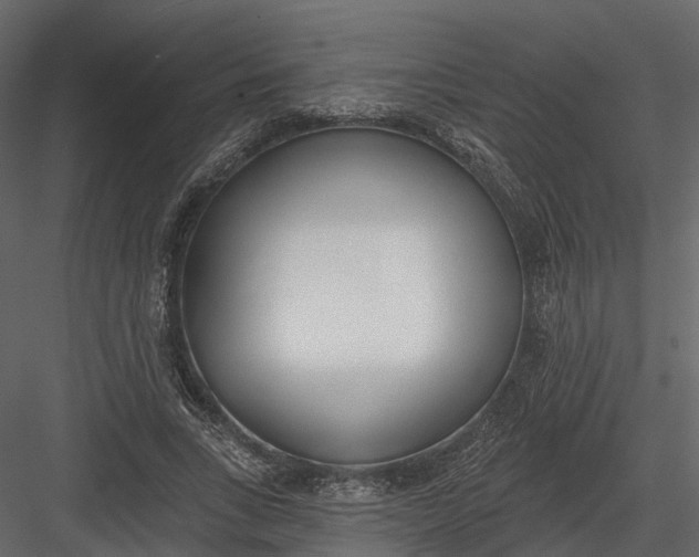 X0000083530735200702240017