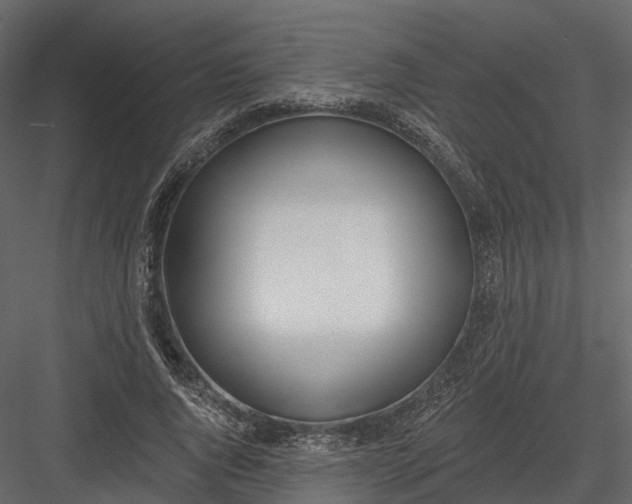 X0000083530736200702240017