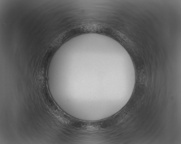 X0000083530737200702240017