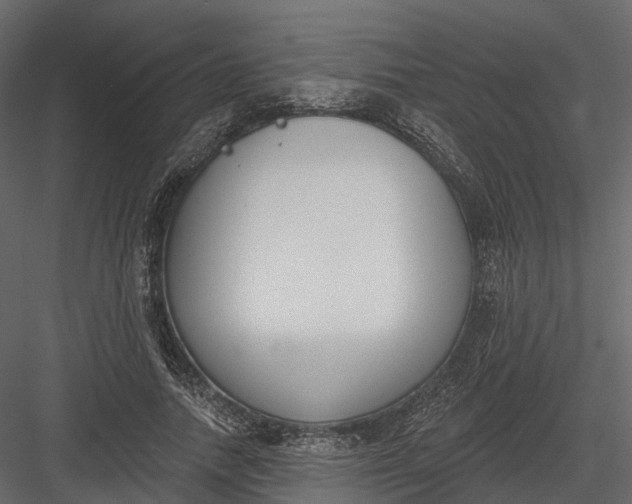 X0000083530738200702240017