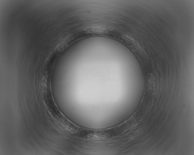 X0000083530739200702240017