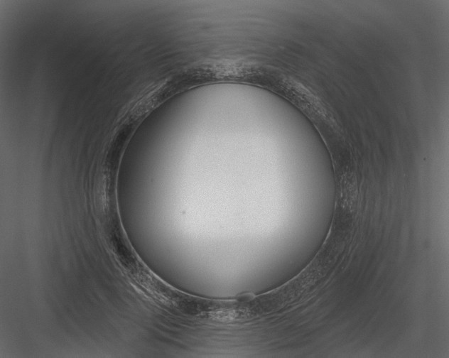 X0000083530740200702240017