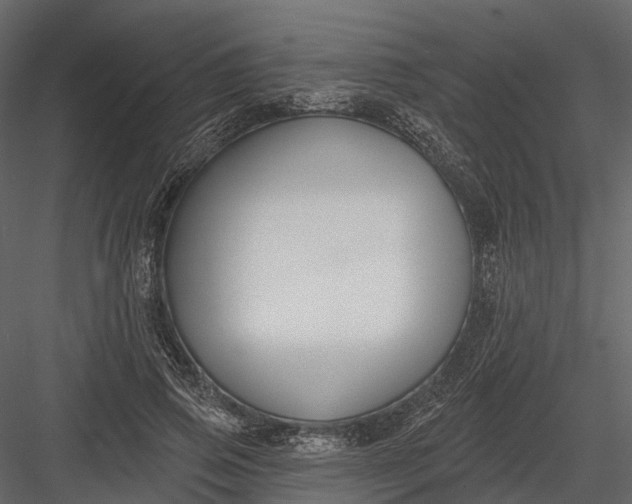 X0000083530741200702240017