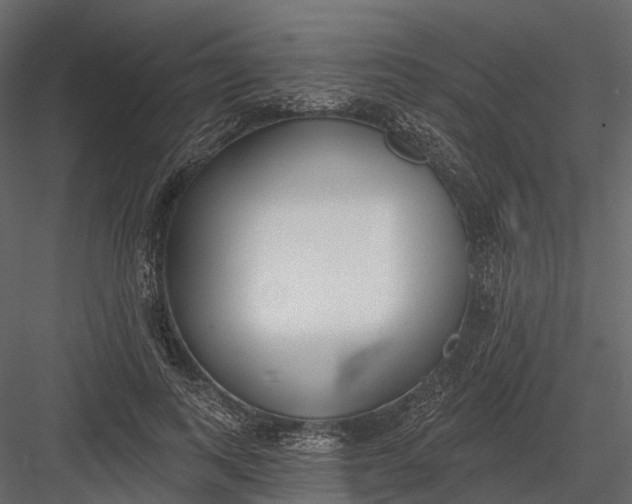 X0000083530743200702240017