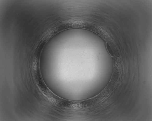 X0000083530744200702240017